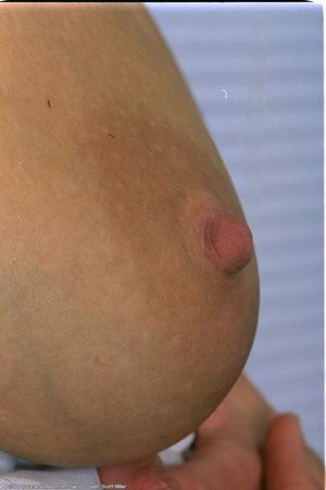 Original 682 px/ 1024 px