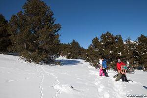 Original 1600 px/ 1067 px