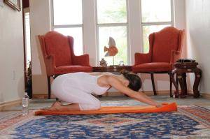 Original 2500 px/ 1660 px