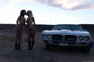 Original 2491 px/ 1663 px