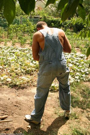 Original 1024 px/ 1536 px