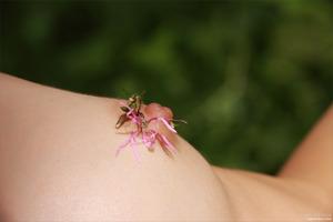 Original 4000 px/ 2668 px