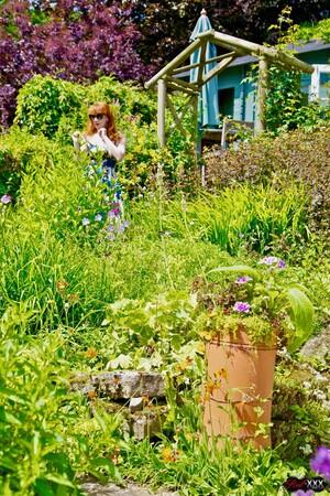 Original 2000 px/ 3000 px