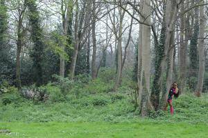 Original 6720 px/ 4480 px