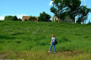 Original 973 px/ 645 px