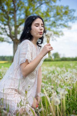 Original 3648 px/ 5472 px