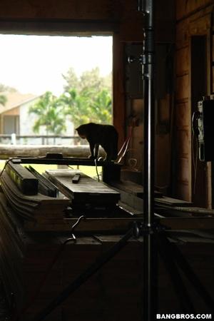 Original 533 px/ 800 px