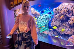 Original 5000 px/ 3333 px