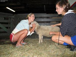 Original 2400 px/ 1800 px