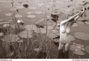 Original 800 px/ 553 px