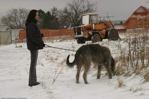 Original 1536 px/ 1024 px