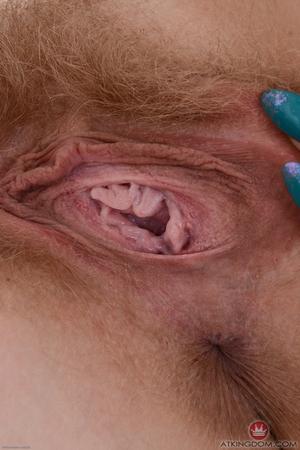 Original 2000 px/ 3000 px