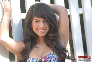 Original 1584 px/ 1063 px