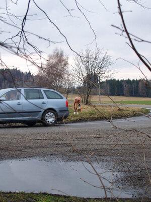 Original 1200 px/ 1600 px