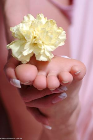 Original 1024 px/ 1536 px