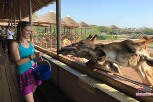 Original 3000 px/ 2000 px