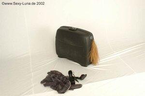 Original 800 px/ 531 px