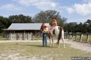 Original 800 px/ 533 px