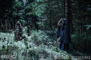 Original 1200 px/ 795 px