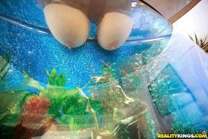 Original 900 px/ 600 px