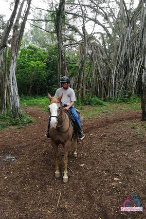 Original 720 px/ 1080 px