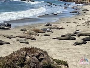 Original 3000 px/ 2250 px