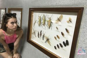 Original 3000 px/ 2000 px