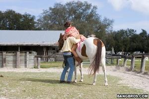 Original 800 px/ 533 px