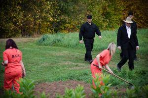 Original 1200 px/ 795 px