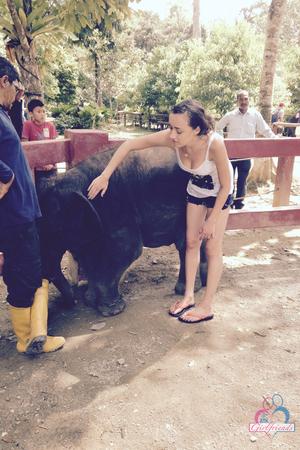 Original 2000 px/ 3000 px