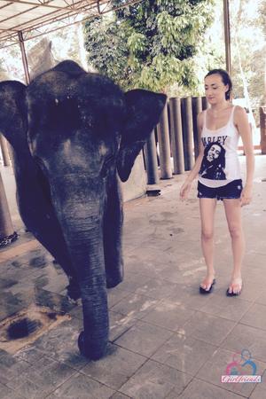 Original 2000 px/ 3000 px