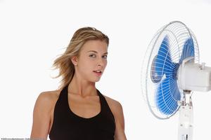 Original 1536 px/ 1024 px