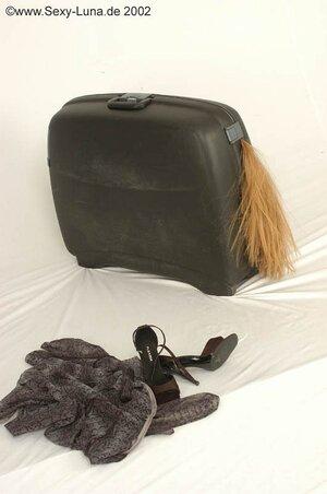 Original 531 px/ 800 px