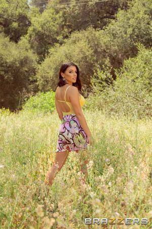 Original 2000 px/ 3000 px