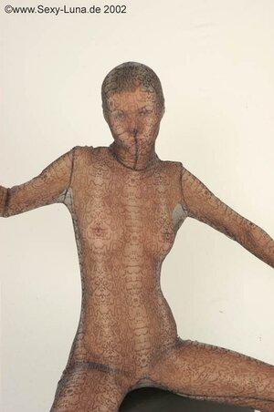 Original 531 px/ 800 px