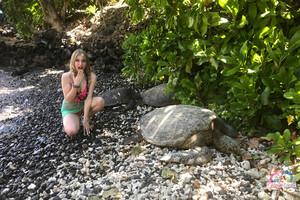 Original 3000 px/ 2000 px