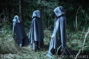 Original 1200 px/ 795 px