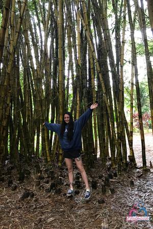 Original 2000 px/ 3000 px