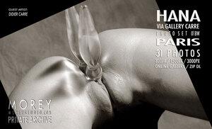 Original 3000 px/ 1823 px