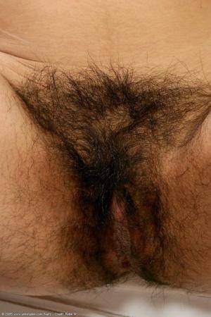 Original 682 px/ 1024 px