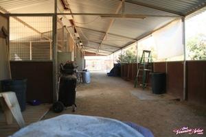 Original 1600 px/ 1066 px