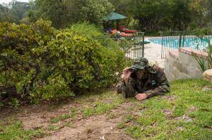 Original 2499 px/ 1663 px