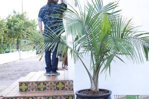 Original 1620 px/ 1080 px