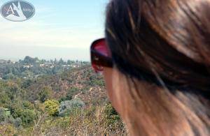 Original 800 px/ 522 px