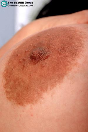 Original 805 px/ 1200 px