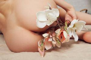 Original 5632 px/ 3755 px