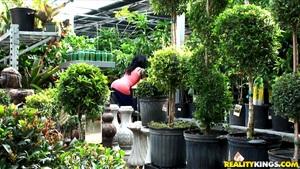 Original 3840 px/ 2160 px