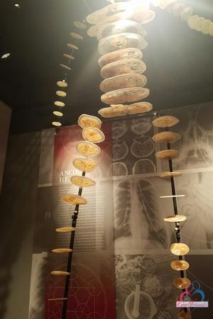 Original 1138 px/ 1707 px