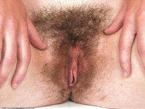 Original 1024 px/ 768 px