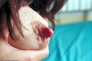 Original 1024 px/ 682 px